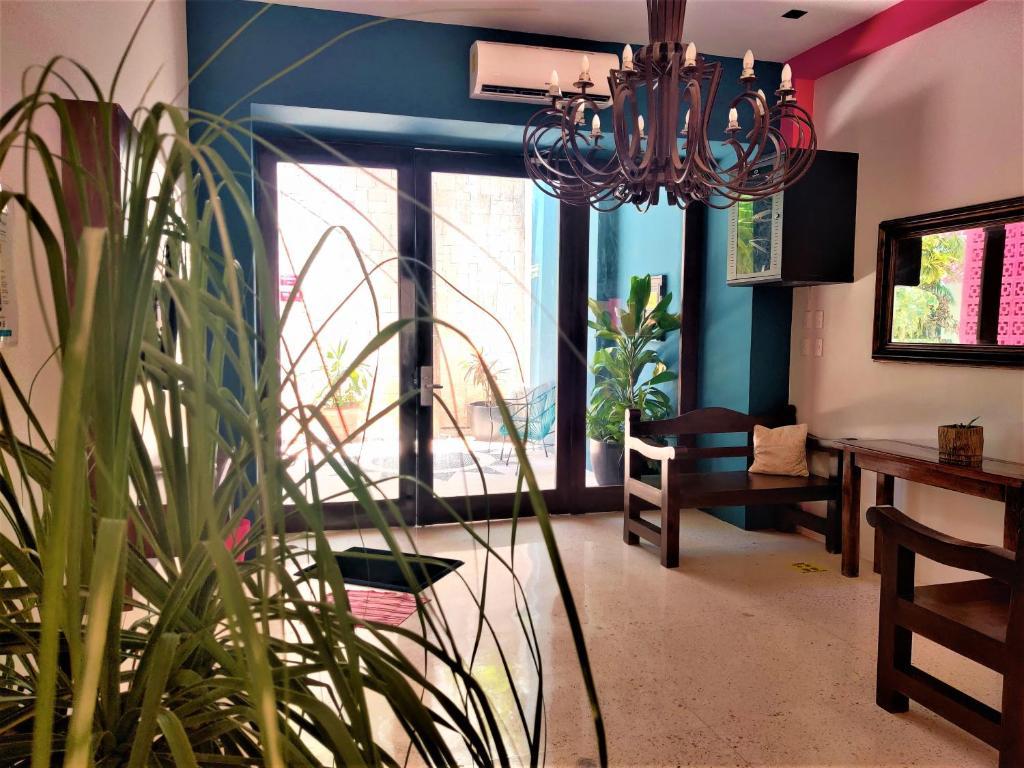 פלאייה דל כרמן Hotel Mariachi By Kavia 5Th Av מראה חיצוני תמונה